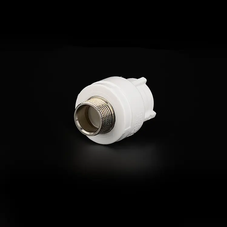 PPR mannelijke adapter